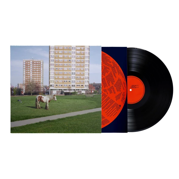 Westside Cowboy – It Goes On (Vinyl, LP, Album)