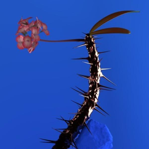 Flume Skin - Companion EP 2 (VINYL LP)