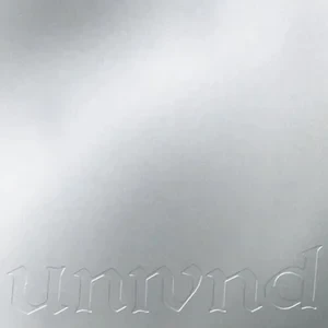Unwound – Leaves Turn Inside You (2 x Vinyl, LP, Album, 25th Anniversary Edition)