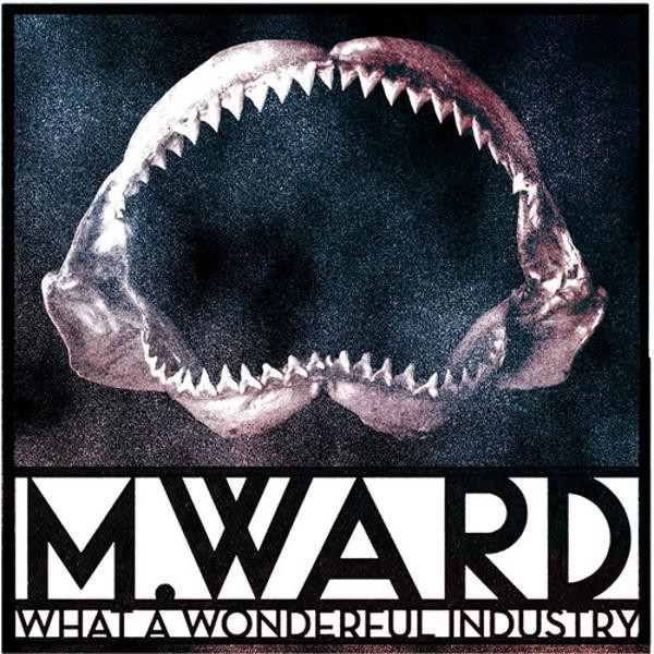 M. Ward - What A Wonderful Industry (VINYL LP)