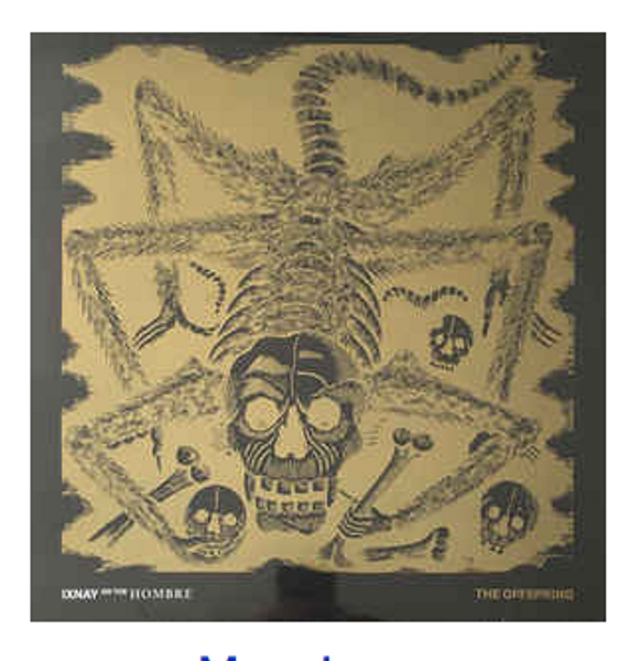 The Offspring ‎– Ixnay On The Hombre   (Vinyl, LP, Album, Limited Edition, Reissue, Gold Opaque )