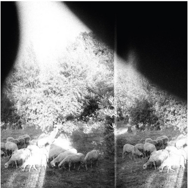 Godspeed You! Black Emperor, ‎– Asunder, Sweet And Other Distress,.   (Vinyl, LP, Album, Poster)