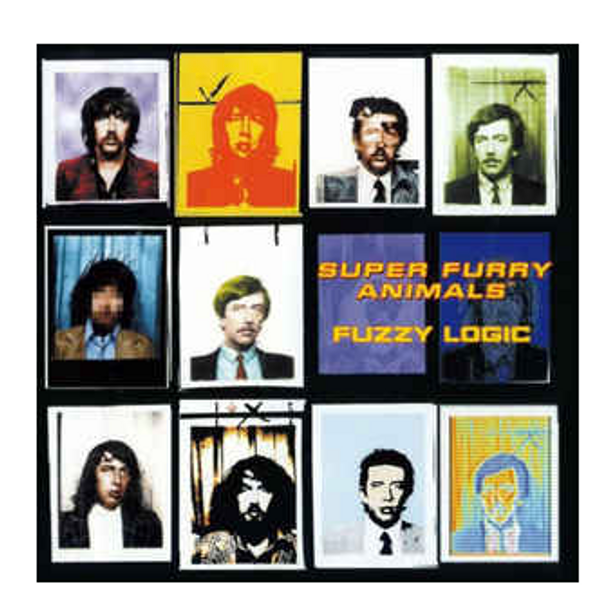 Super Furry Animals ‎– Fuzzy Logic.   (Vinyl, LP, Album, 180g, Gatefold)