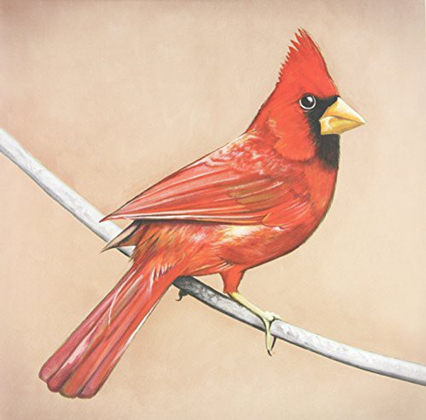 Alexisonfire - Old Crows/Young Cardinals (2 x Vinyl, LP, Album, 45RPM, Gatefold)