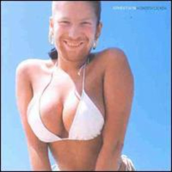 Aphex Twin - Window Licker (LP)