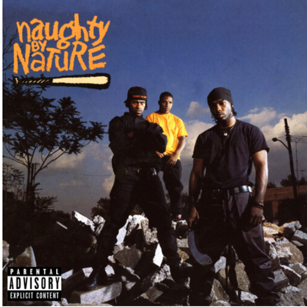 Naughty By Nature – Naughty By Nature.  (Vinyl, LP, Album, 30th Anniversary)