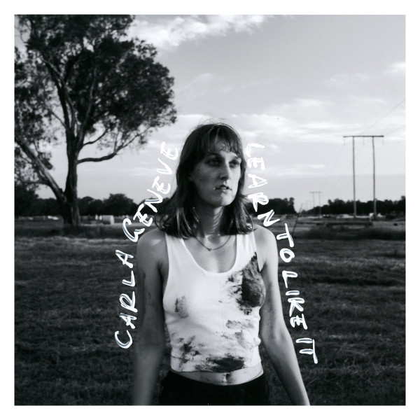 Carla Geneve – Learn To Like It (Vinyl, LP, Album)