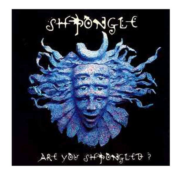 Shpongle – Are You Shpongled?    (3 x Vinyl, LP, Album)