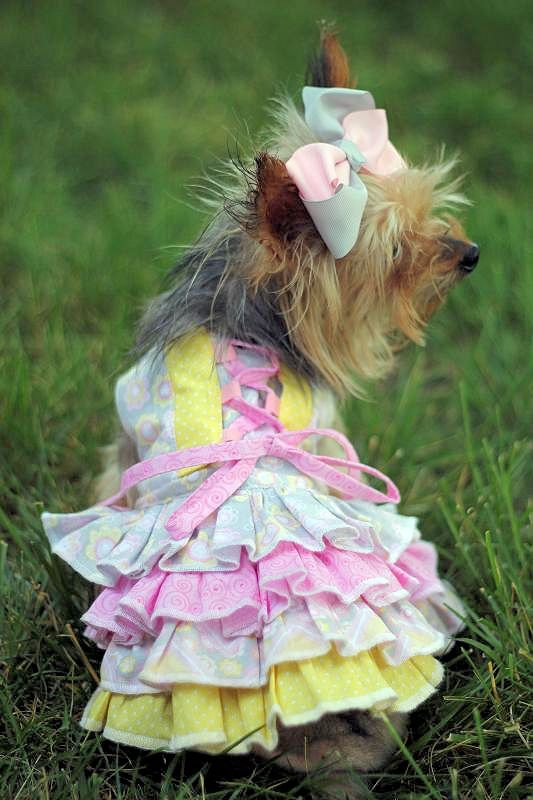 Primrose's Ruffled Corset Princess Dress for Small Breed Dogs PDF