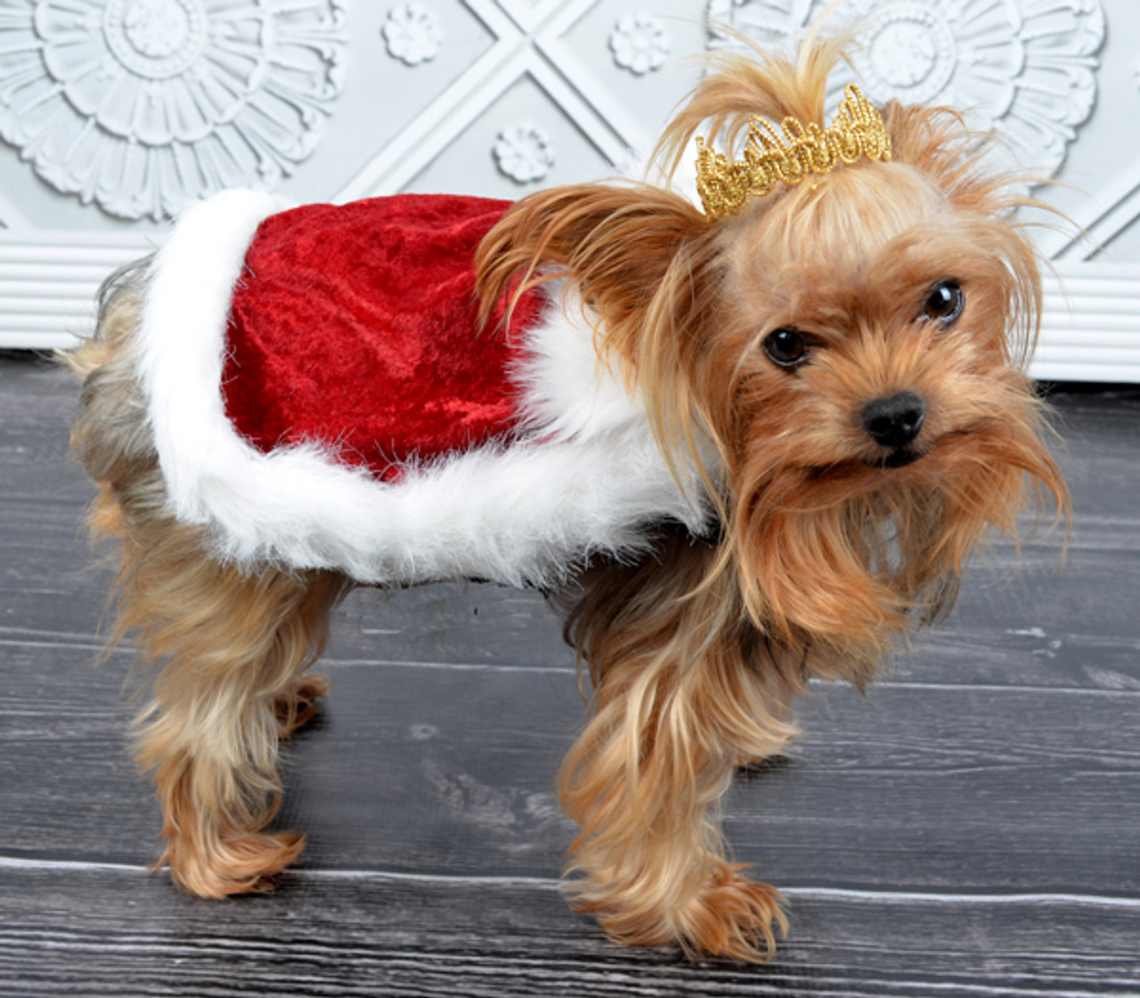 Cameron's Cape Set for Dogs PDF Pattern cameron-s-cape-set-for-dogs-pdf-pattern