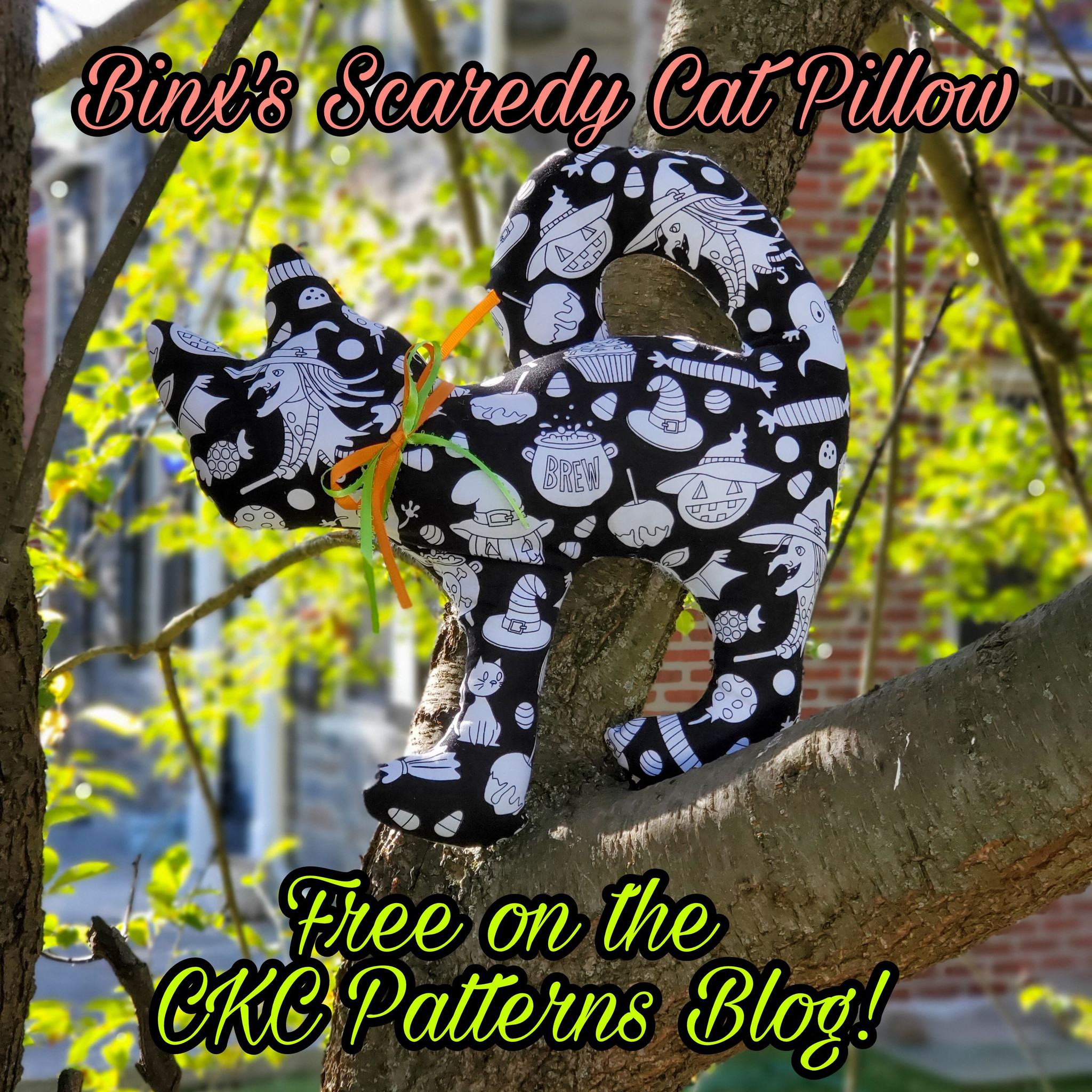 CKC's Spooky Side:  Binx's Scaredy Cat Pillow