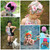 Roslynn's Ruched Swim Cap Sizes NB to Adult PDF Sewing Pattern