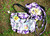 Ostara's Garden Bag & Apron PDF Sewing Pattern