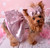 Paris' Party Dress for Small Breed Dogs PDF Pattern
