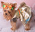 Paris' Party Dress for Small Breed Dogs PDF Pattern