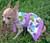 Hadleys Halter Dress for Small Breed Dogs PDF Pattern