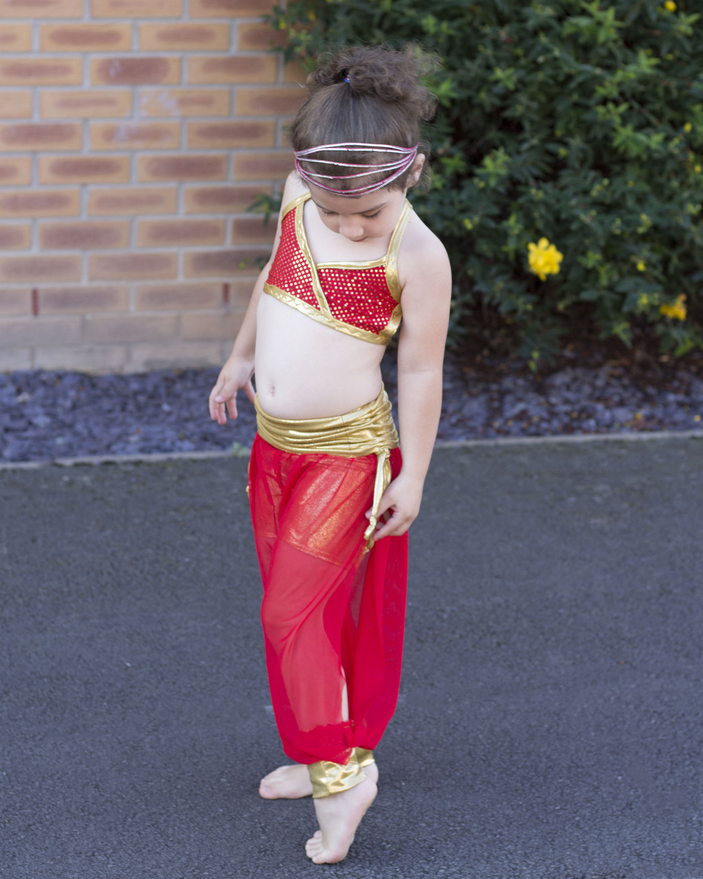 Shiny Bellydance pants black and gold