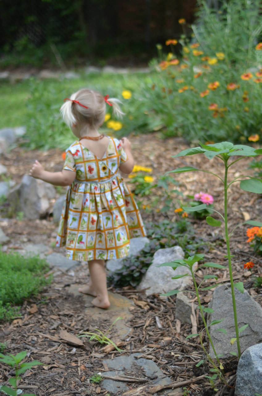 Egg Gathering Apron Pattern: Learn how to sew your own Egg Gathering Apron!  (Paperback)