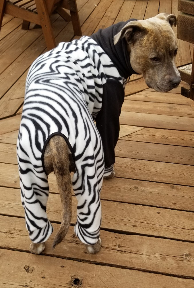 Dog Pajamas Pattern Size XL button Up, Sewing Pattern, Dog