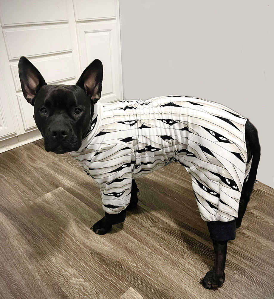 Chewy hot sale dog pajamas