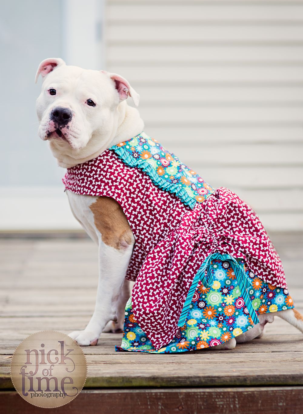 large breed dog clothes