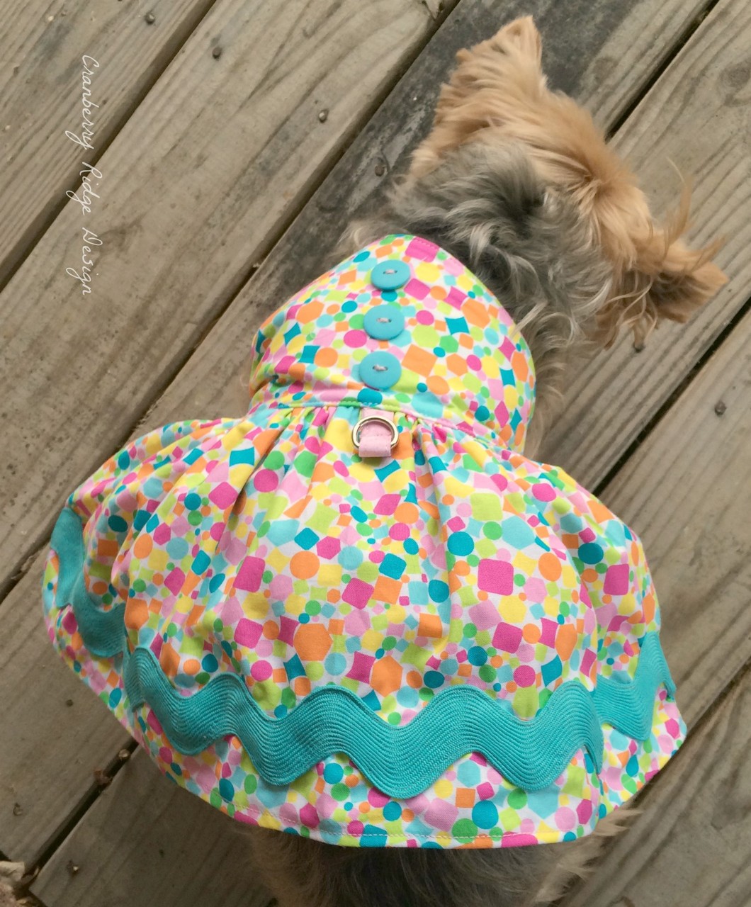 Paris' Boutique Party Dress for Dogs PDF Pattern