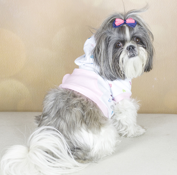 Toby S Hooded T Shirt For Dogs Pdf Pattern
