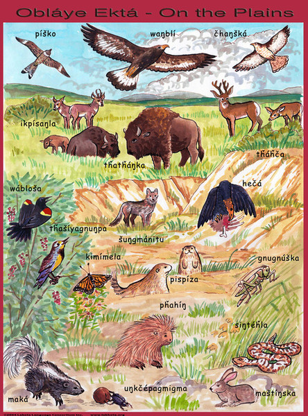 Plains Animals Poster