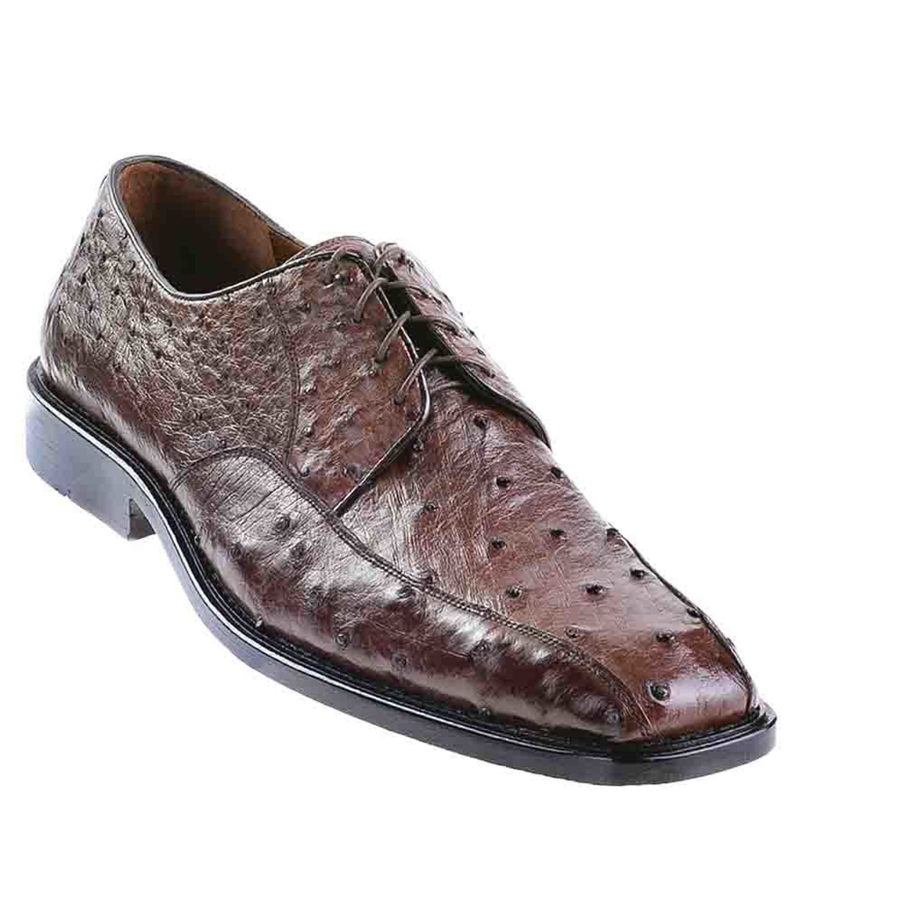 Los Altos Brown Full Quill Ostrich 