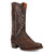 Dan Post Men's Anders Genuine Ostrich Western Cowboy Boots Dan Post Men's Anders Genuine Ostrich Western Cowboy Boots