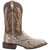 Dan Post Brutus python boot, side angle view showing shaft detail