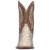 Dan Post Brutus python boot, front view showing square toe