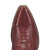 Close-up of Dan Post Calvera boot python skin texture and snip toe detail