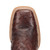 Dan Post Drayden Men's Chocolate Full Quill Ostrich Western Boots