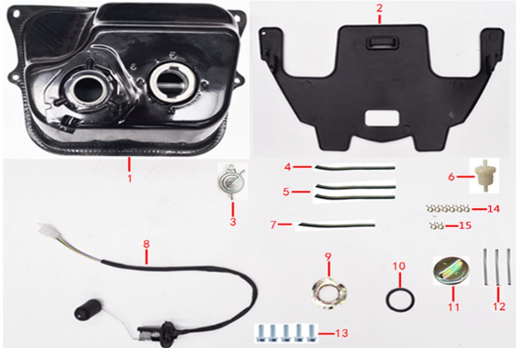 10- Fuel level sensor sealing gasket  1.07.0000.10010020070000