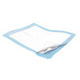 Cardinal Health, Underpads, Wings Extra, 17" X 24"