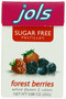 Jols Sugar Free Pastilles, Forest Berry 0.88 Oz Pack