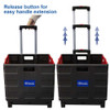 Utility Cart w/Lid (Red or Blue) Foldable 16" x 18" x 15"