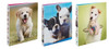 Binder 1" Dogs Friends