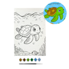 Canvas Painting Set-Turtle