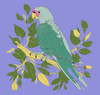 Canvas Painting Set-Parrot