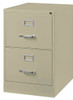 Vertical File Cabinet-2 Drawers, Legal Size, Putty