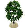 Tree-Mini 4.0" Bald Cypress