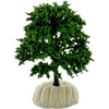 Tree-Mini 3.0" Bald Cypress