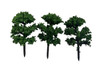Tree-Mini Bald Cypress 3Pk