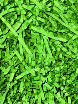 Shredded Filler Paper-Green