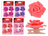 Clothespins/Rose