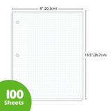 Graph Filler Paper-100 Sheets  (4 to 1" Quad/Ruled)