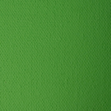 Acrylic Paint 60ml (2oz) Green Leaf (Verde Hoja)