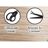 Scissors 5" Blunt Tip (SS)